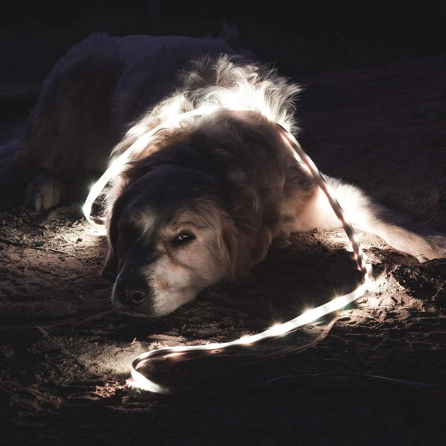 Luminoodle Original Universelles LED-Band – Wasserdichte Campingbeleuchtung und tragbare Laterne