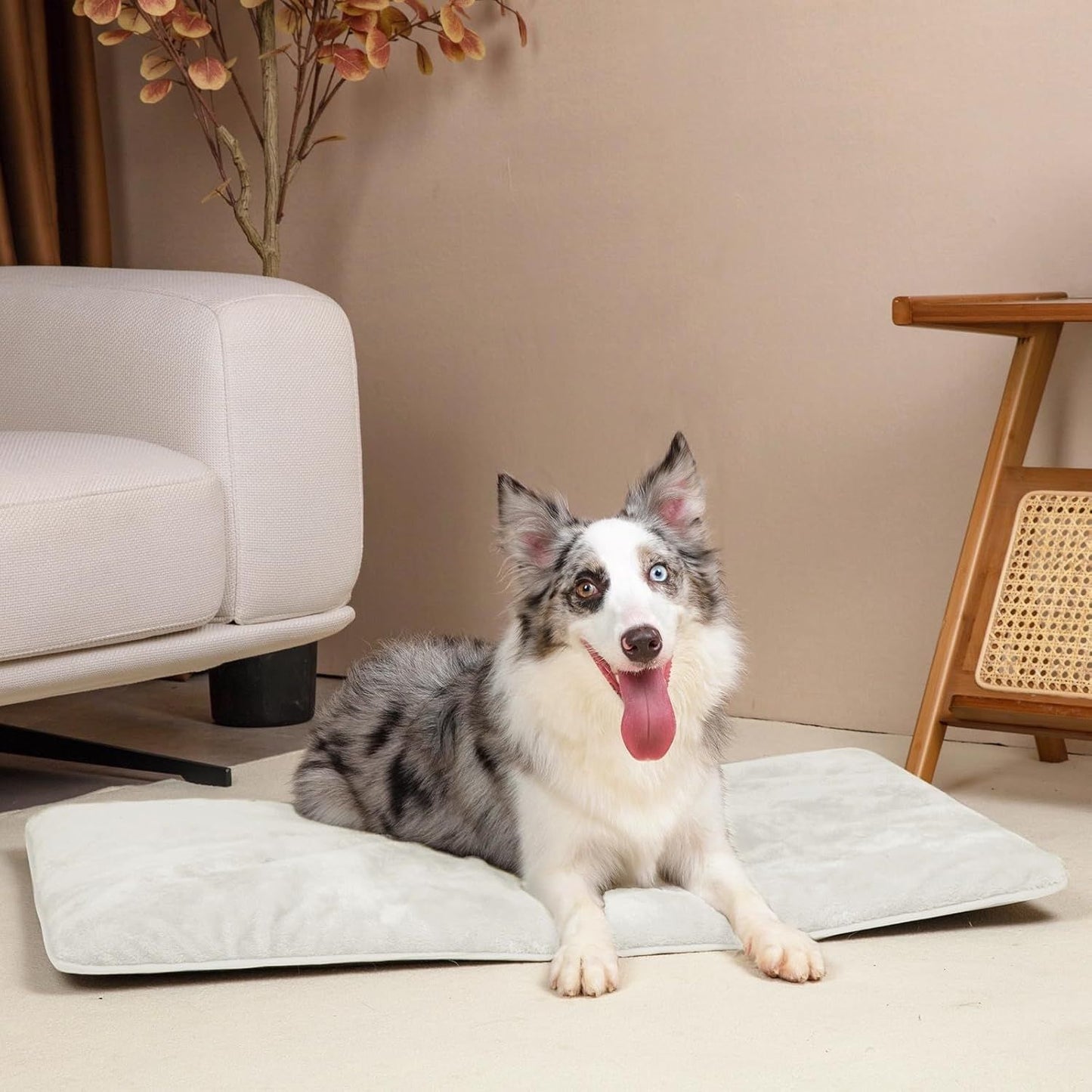 MoraPets Wasserdichtes Hundekissen, Hundebett-Matratze