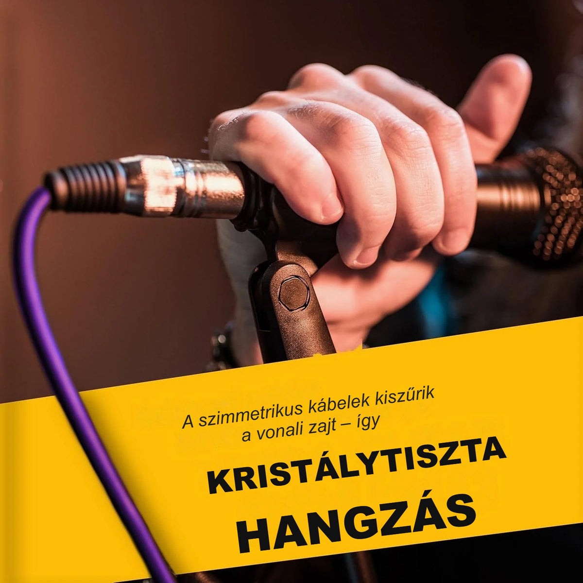 Lila XLR kábel mikrofonhoz csatlakoztatva, kézben
