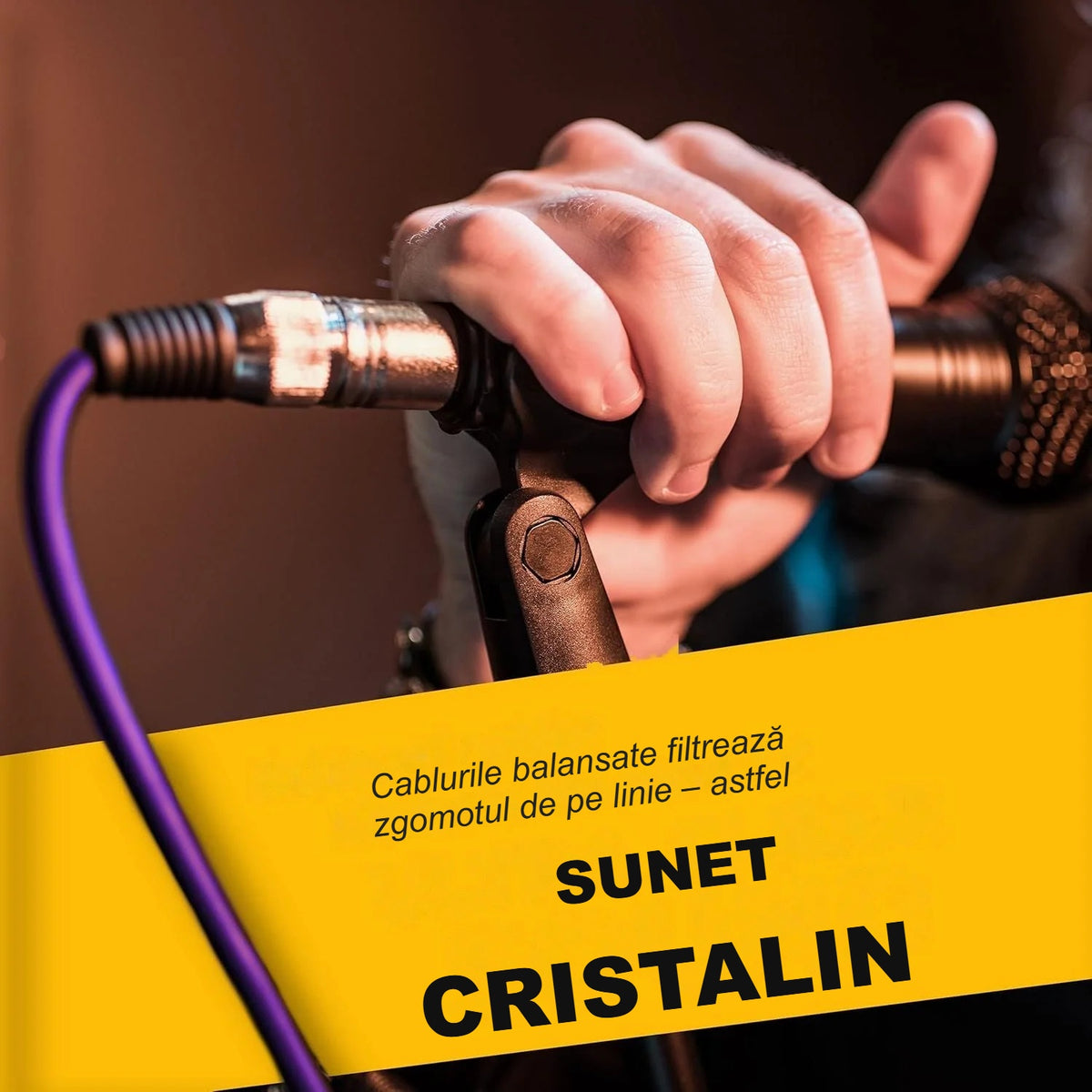 Cablu XLR violet conectat la microfon, ținut în mână