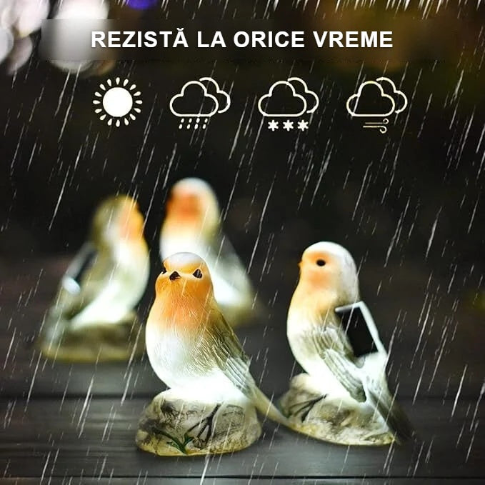 Lămpi solare în formă de măcăleandru rezistente la apă, aprinse și pe ploaie