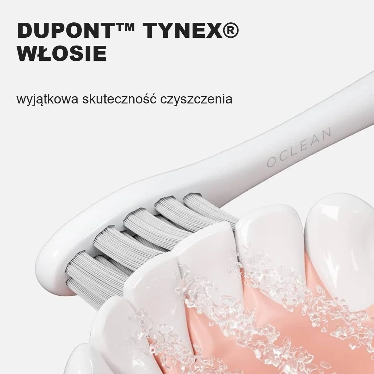 Końcówka z włosiem DuPont Tynex podczas czyszczenia modelu zębów