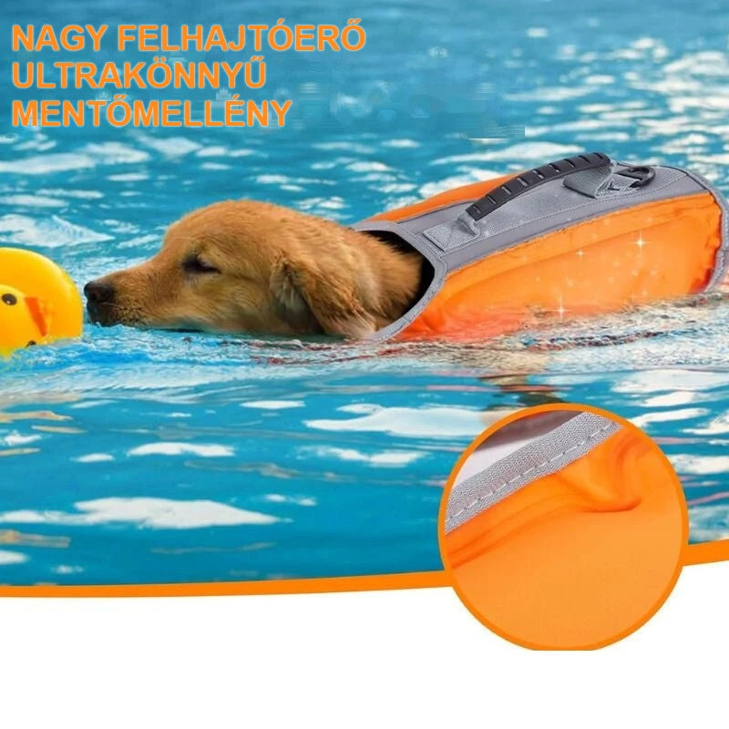 Úszó kutya felfújható mentőmellényben a vízben