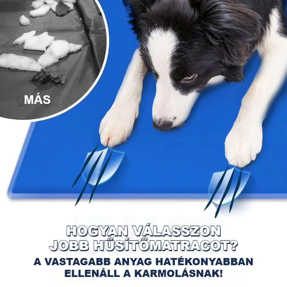 Kutya a vastag, kék hűtőmatracon fekszik
