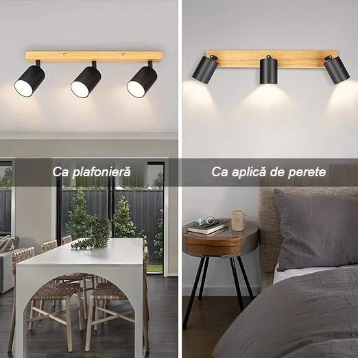 Spot ca plafonieră și ca aplică de perete