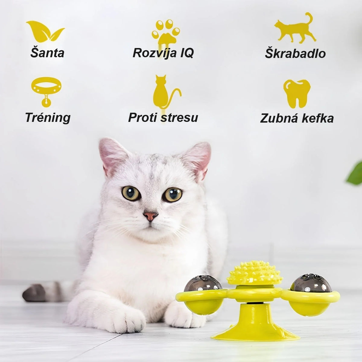 Funkcie hračky veterný mlyn: mačacia mäta, rozvoj IQ, škrabadlo, zubná kefka