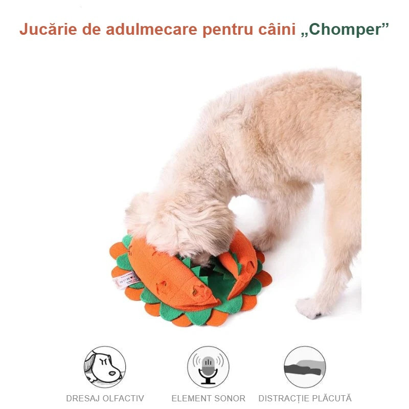 Câine adulmecând cu jucăria de adulmecare Chomper
