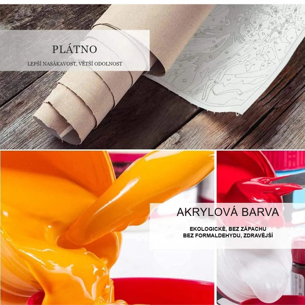 Plátno a syté akrylové barvy ze sady malování podle čísel zblízka