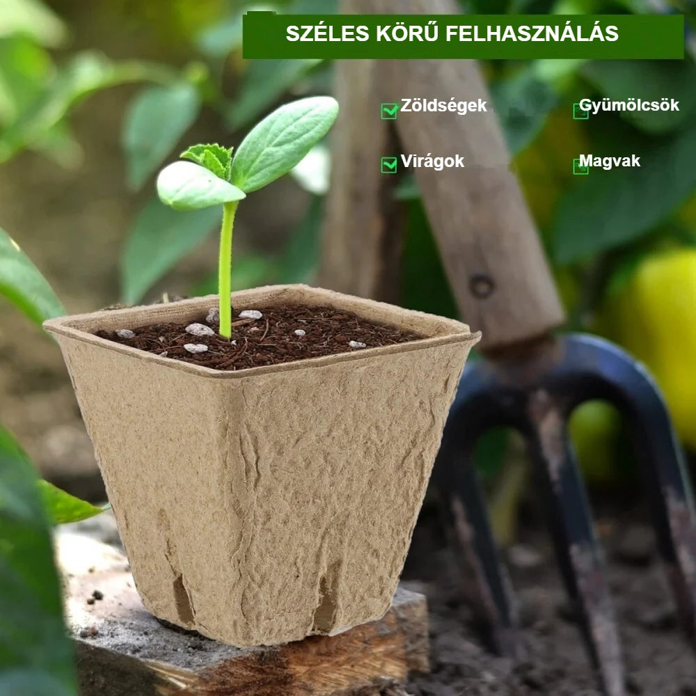 Csírázó palánta tőzegcserépben zöldséghez, gyümölcshöz, virághoz, maghoz