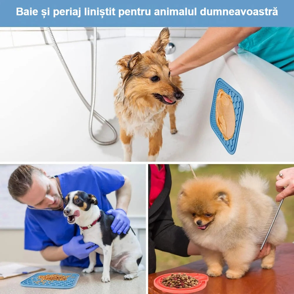 Bol de lins lipit pe perete în timpul băii și al periajului