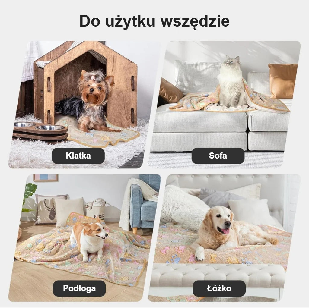 Koc dla psa w klatce, na kanapie, podłodze i łóżku