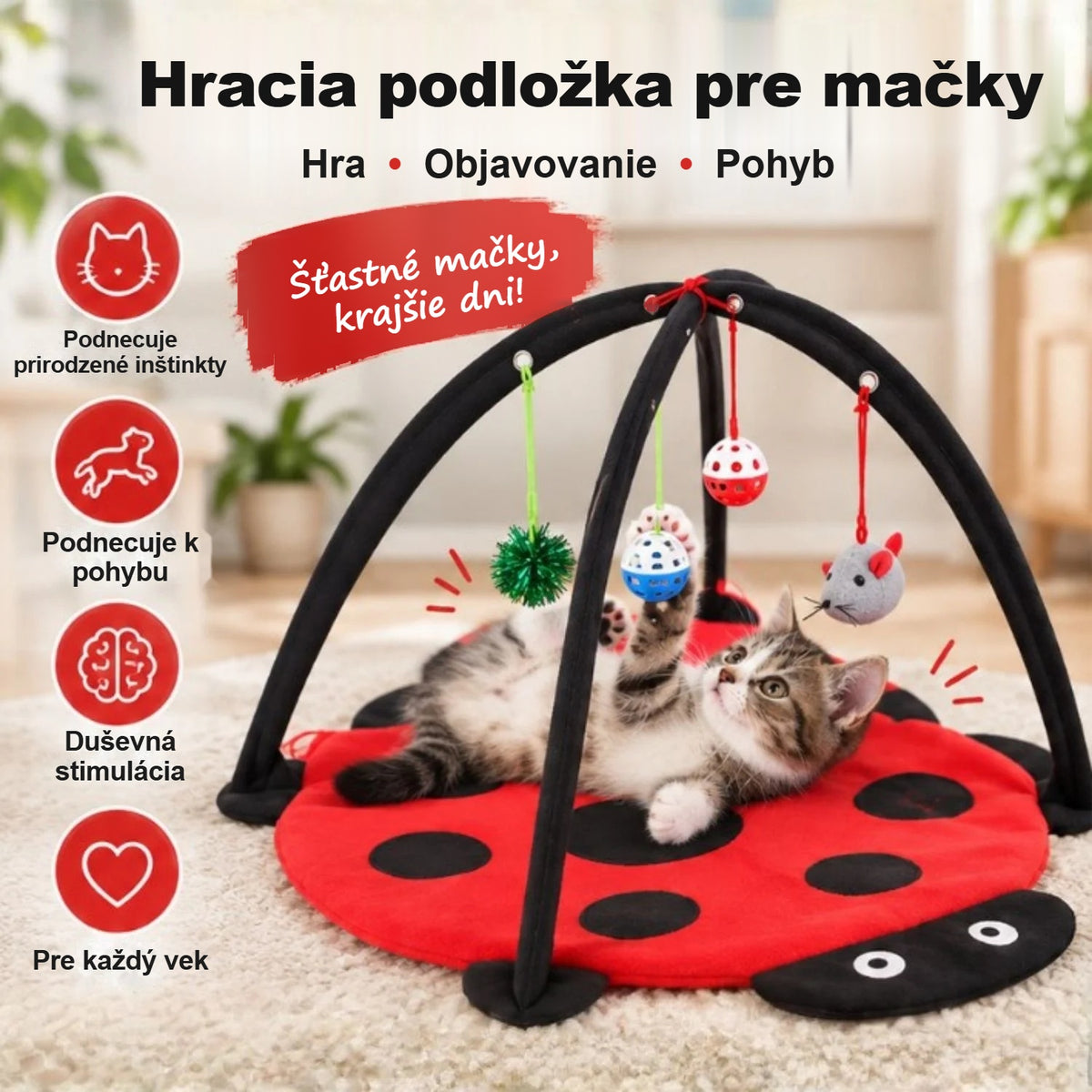 Dve mačky sa hrajú s visiacimi hračkami hracej podložky v tvare lienky
