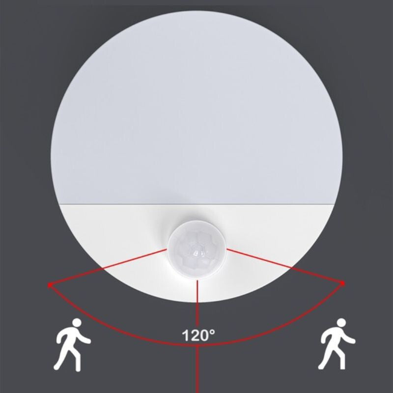 06977547960514_4