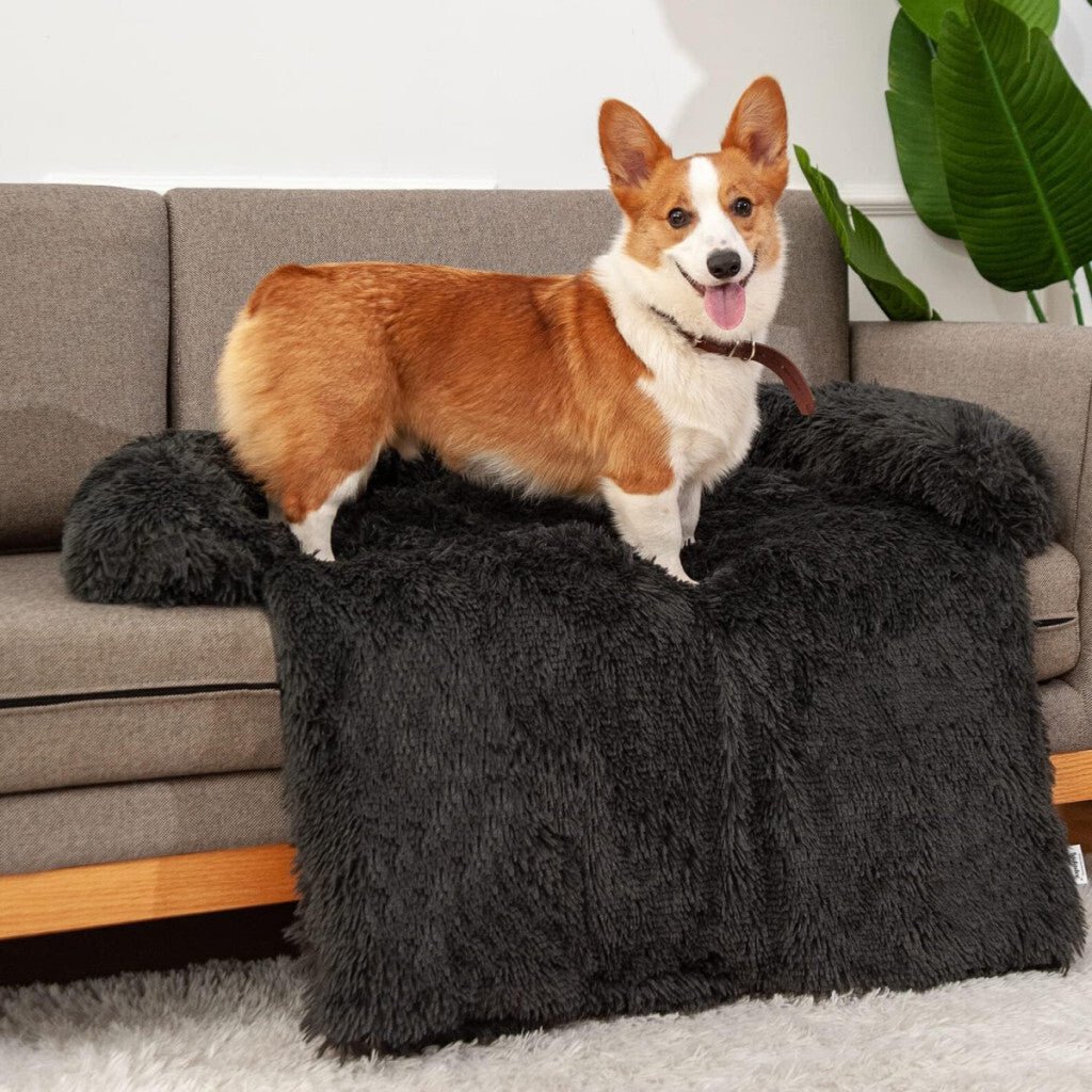 Jollywoods Sofaschoner Hundebett für kleine und mittelgroße Hunde Schwarz