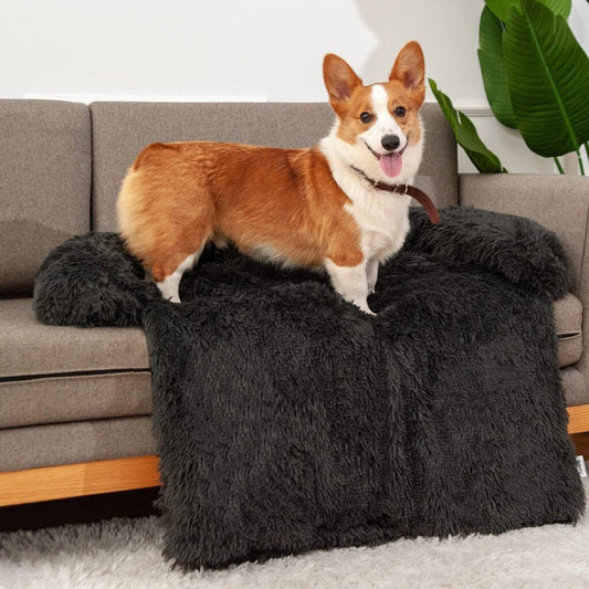 Jollywoods Sofaschoner Hundebett für kleine und mittelgroße Hunde Schwarz