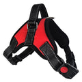 Rotes Hundegeschirr - Verstellbar, Robust und Bequem