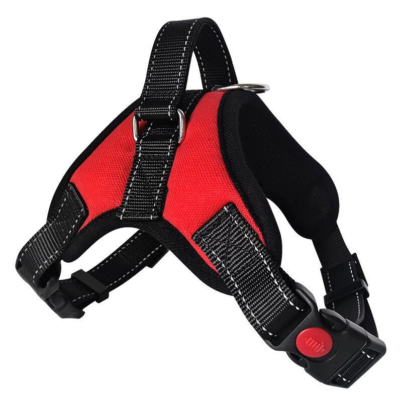 Rotes Hundegeschirr - Verstellbar, Robust und Bequem
